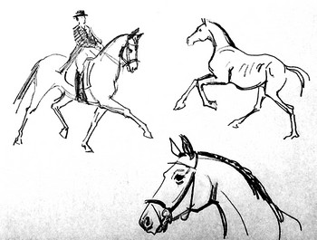 Skizze vom Pferd (5) — 21x15cm Bleistift auf Papier 2010