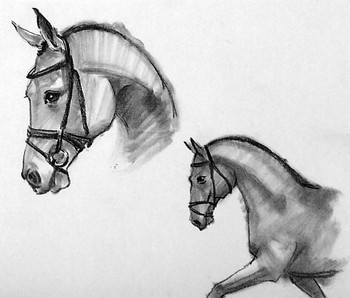Skizze vom Pferd (6) — 21x15cm Kohle auf Papier 2010